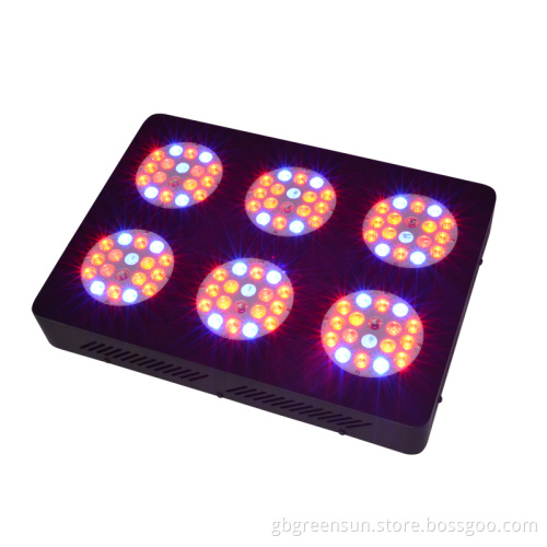 LED Lighting System 300 Watts LED Grow Lamp 120 Degrees Optics 7 Band Full Spectrum